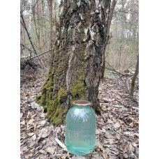 Сік березовий Свіжо-Заморожений. Цена за 3л (Ф1453) сік березовий Сік березовий Свіжо-Заморожений. Цена за 3л (Ф1453) сік березовий