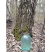 Сік березовий Свіжо-Заморожений. Ціна за 3л (Ф1452) Сік березовий Свіжо-Заморожений. Ціна за 3л (Ф1452)